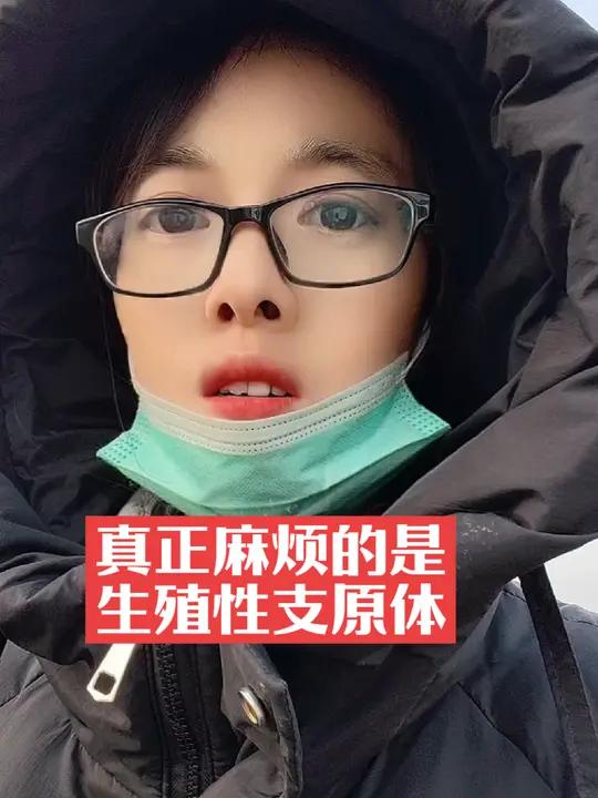 青年鸡得了滑膜炎不可怕,只要积极治疗,可怕的是产蛋期得了生殖性支原体,麻烦的很!别等到鸡群