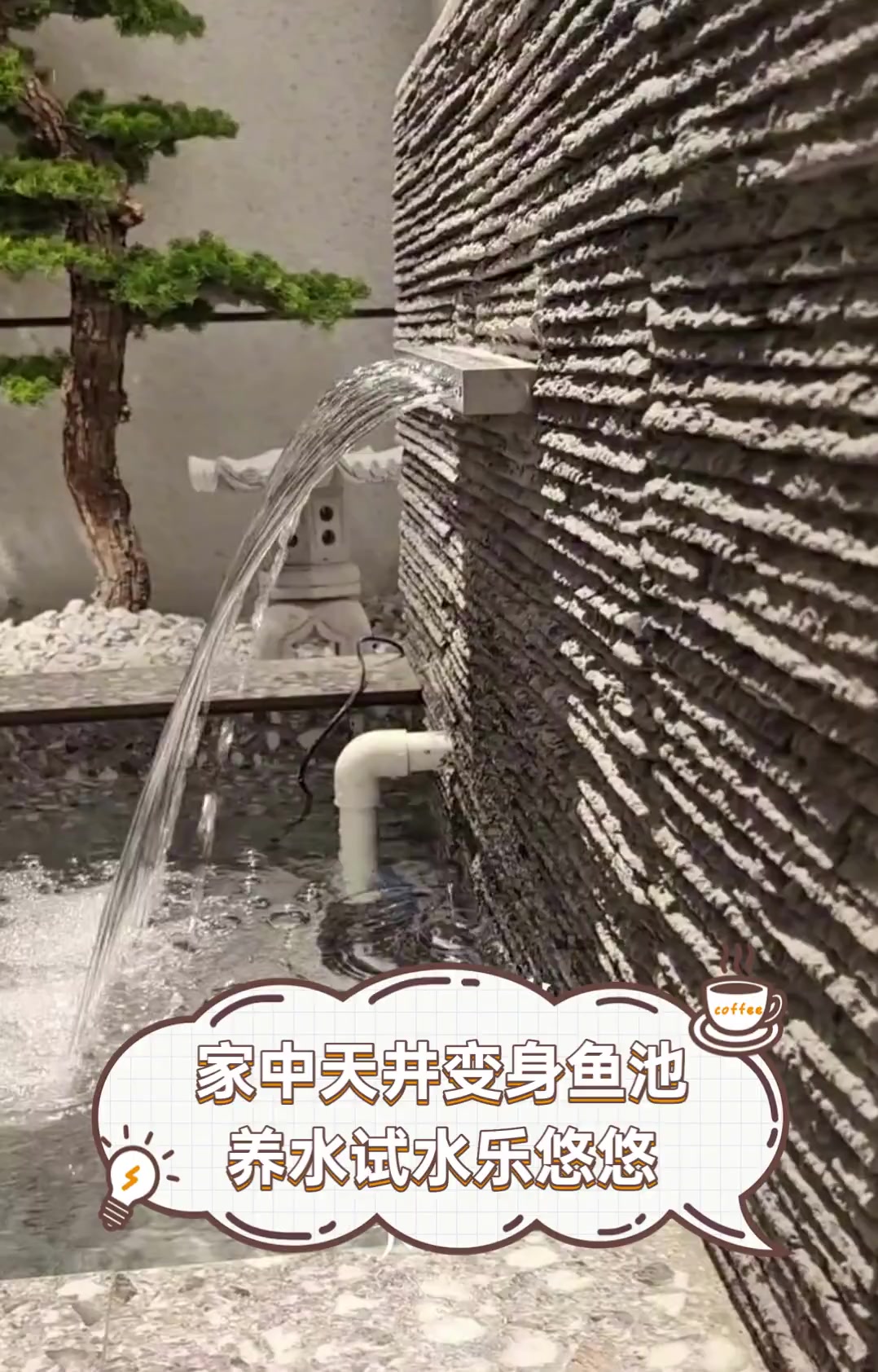 家中天井变身鱼池,养水试水乐悠悠