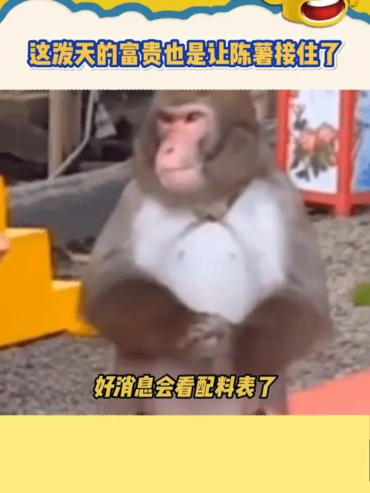 这泼天的富贵也是让陈薯接住了 陈薯酸辣粉 食品安全 泼天的富贵哗啦啦的来