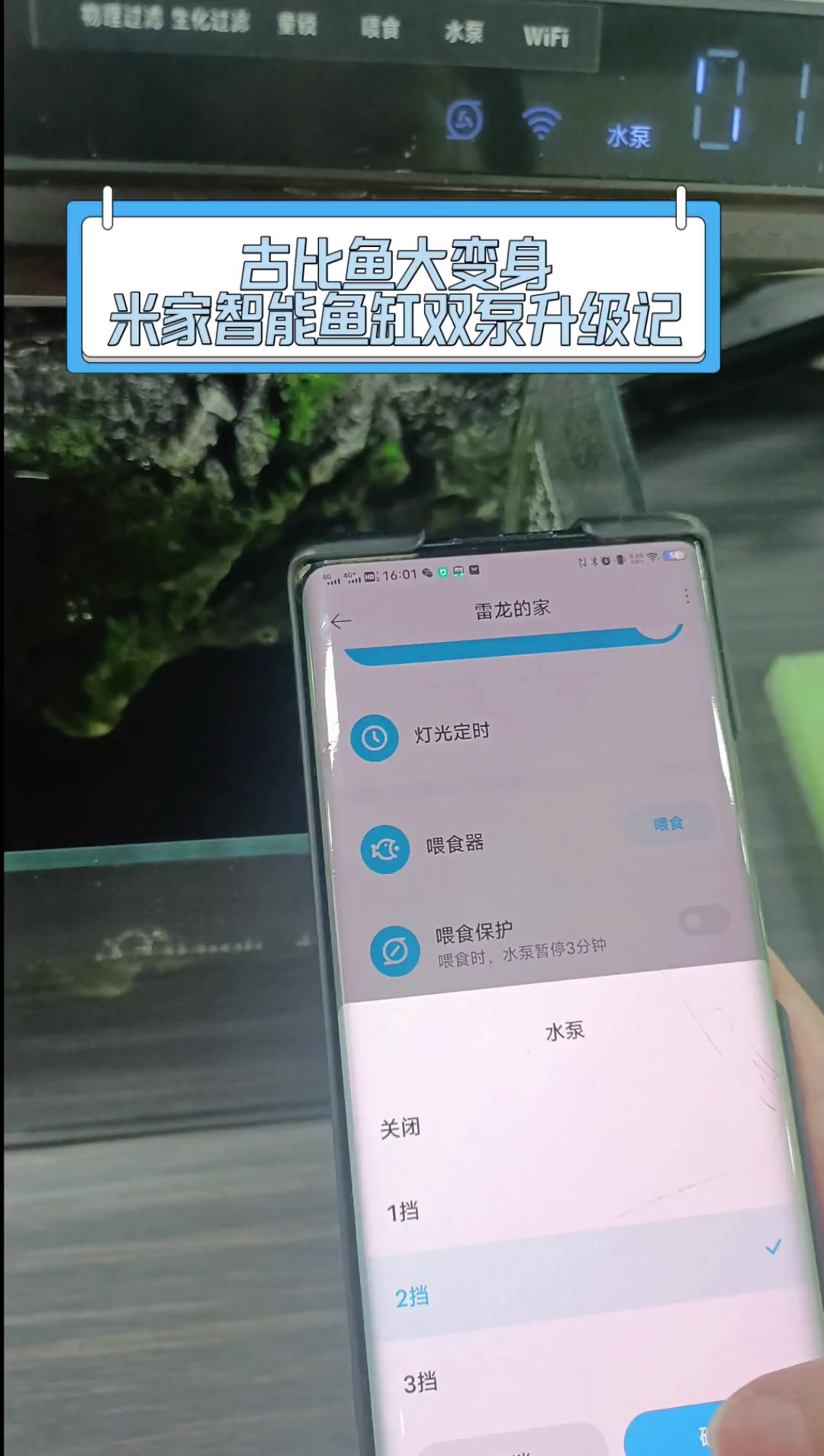 古比鱼大变身,米家智能鱼缸双泵升级记