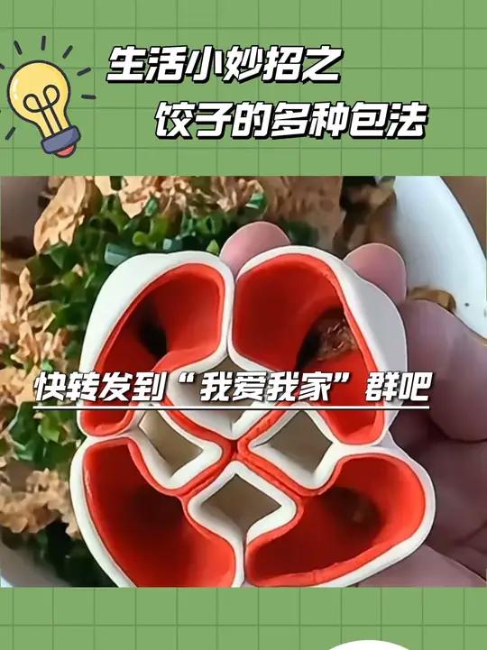 生活小妙招之饺子的多种包法