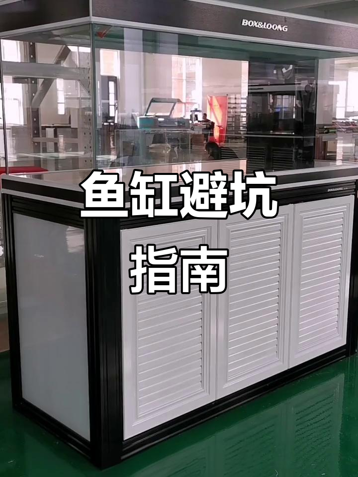 避免鱼缸常见误区,省钱又省心!