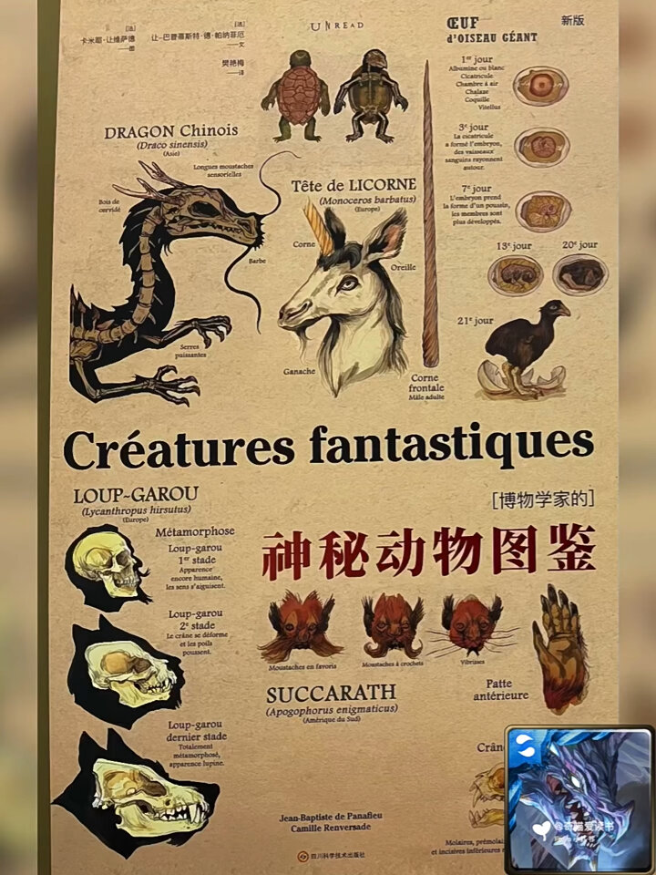 《神秘动物图鉴》—喷火龙