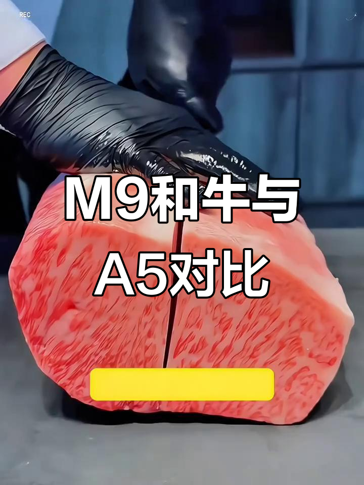 澳洲和牛M9等级,口感堪比日本A5和牛!