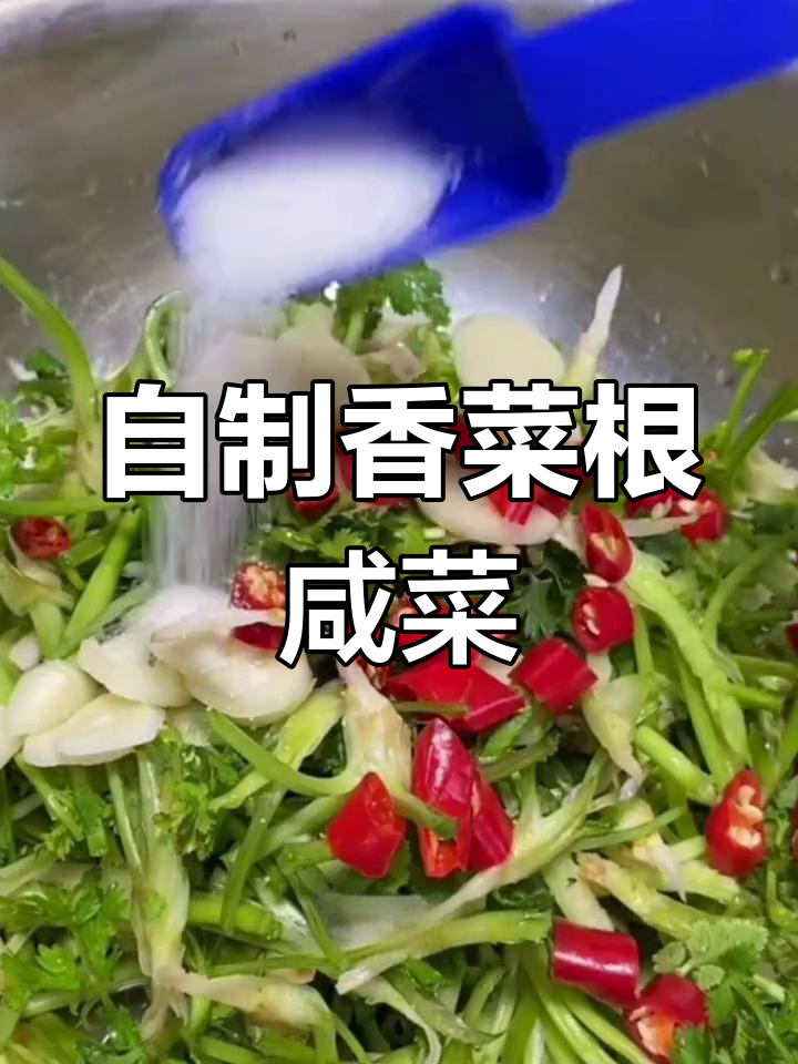 香菜根变美味小咸菜