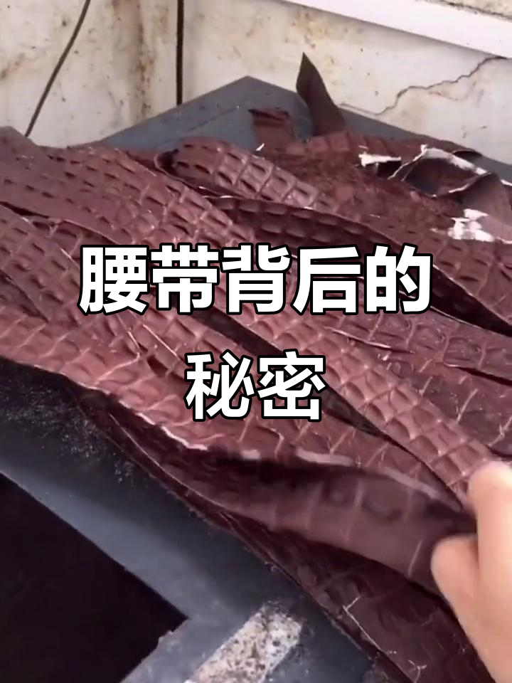 揭秘鳄鱼皮腰带的制作工艺,手工打造稀有皮革制品