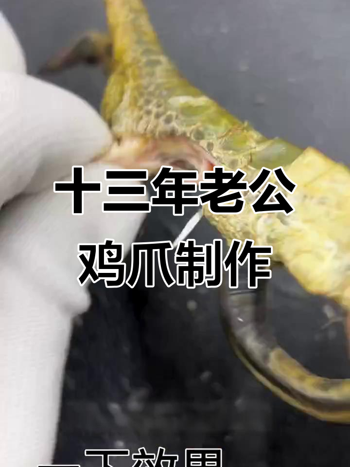 北京老板收十三年老公鸡，爪子代加工效果惊艳