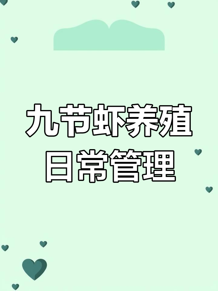 九节虾养殖技巧:从饵料投喂到水质管理全攻略