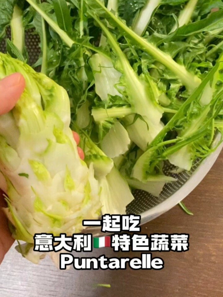 苦中带甜:意大利特色绿叶菜Puntarelle1