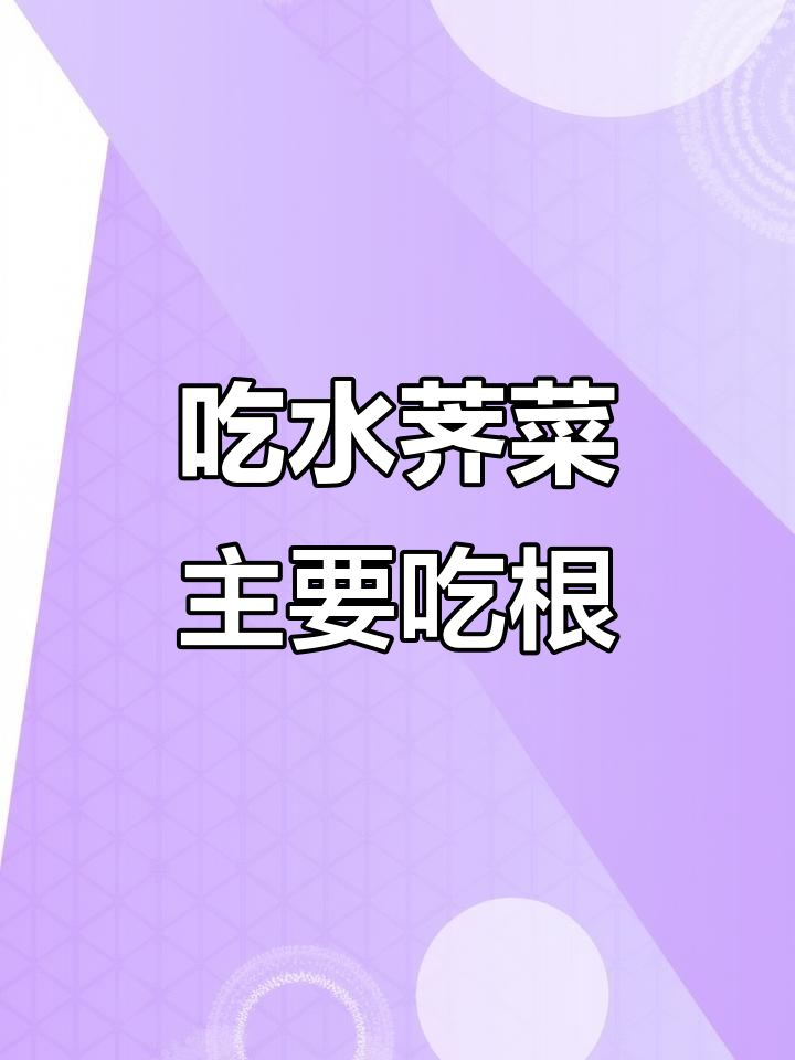水荠菜的独特吃法:根儿炸蘸酱,土豆炖都行