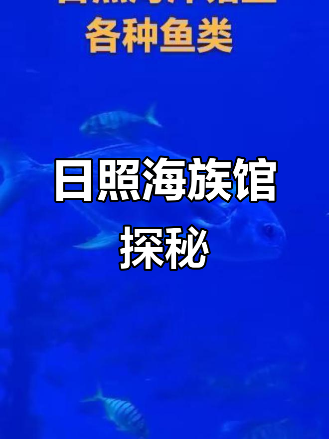 日照海洋馆的奇妙鱼类大揭秘