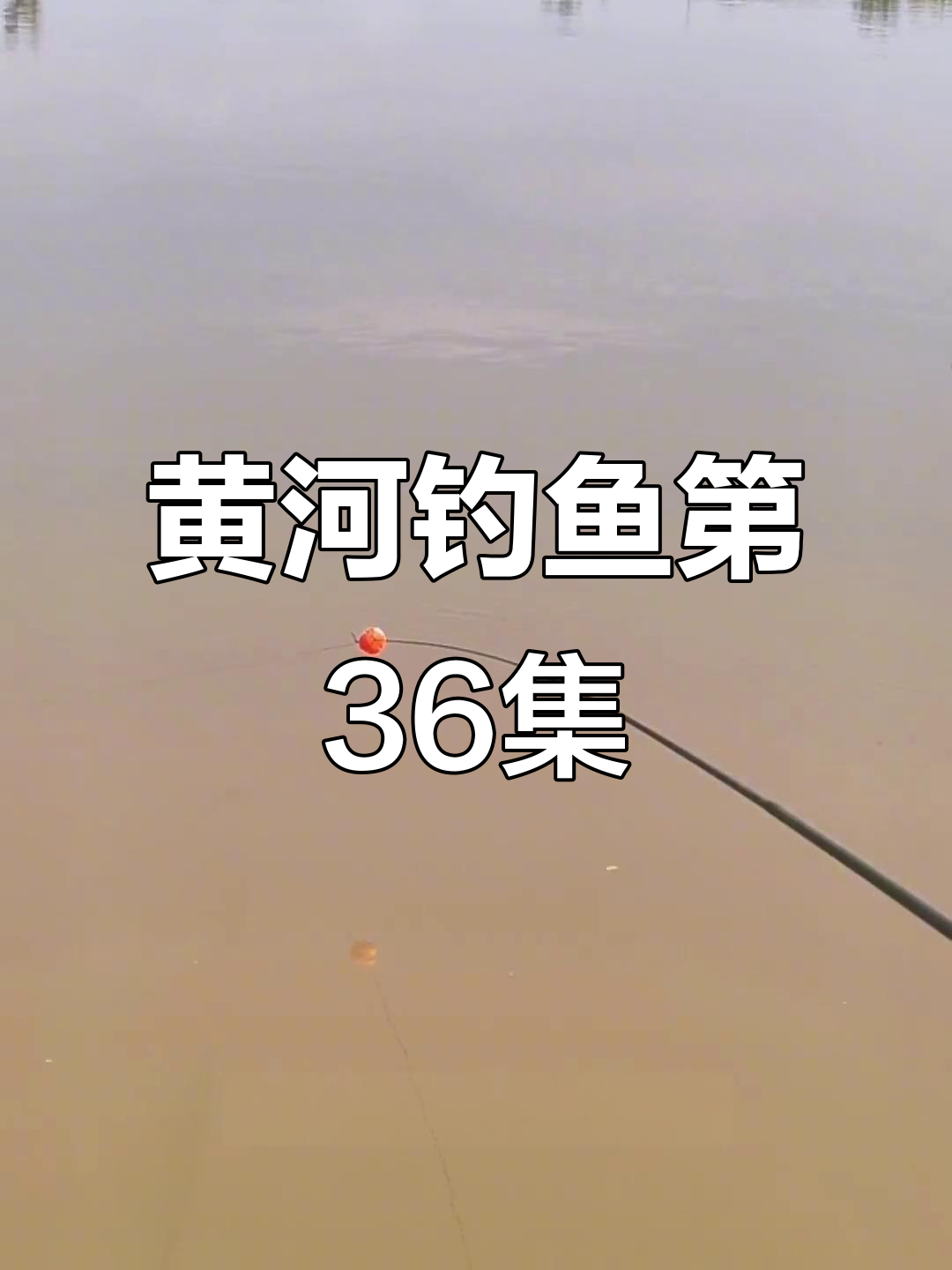 黄河钓鱼挑战:38天连续不空军,钓位选择与技巧揭秘