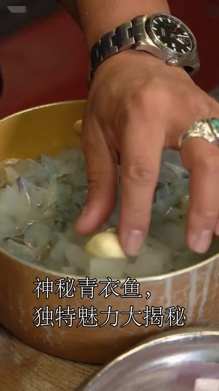 神秘青衣鱼,独特魅力大揭秘