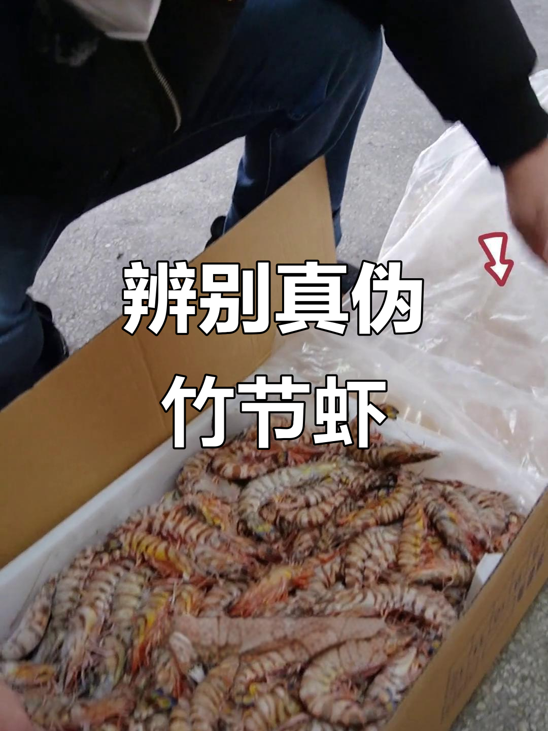 竹节虾认准尾巴和纹路,灿烂色泽让人惊艳