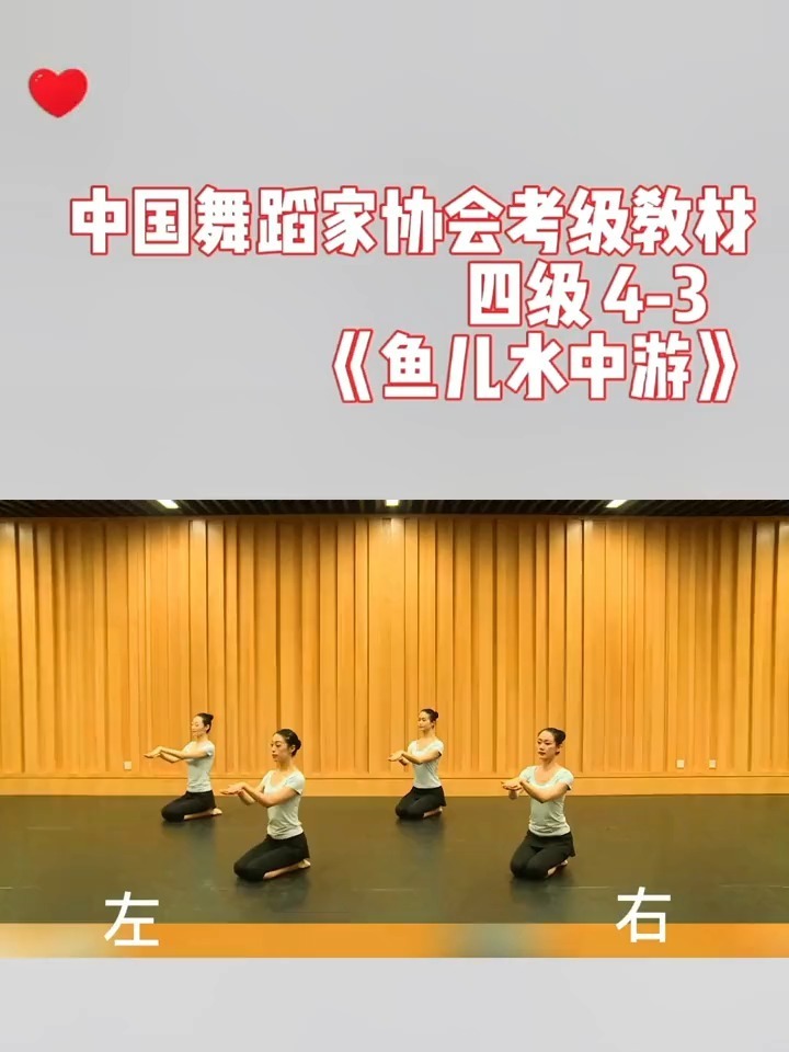 舞协四级4-3《鱼儿水中游》镜面教材