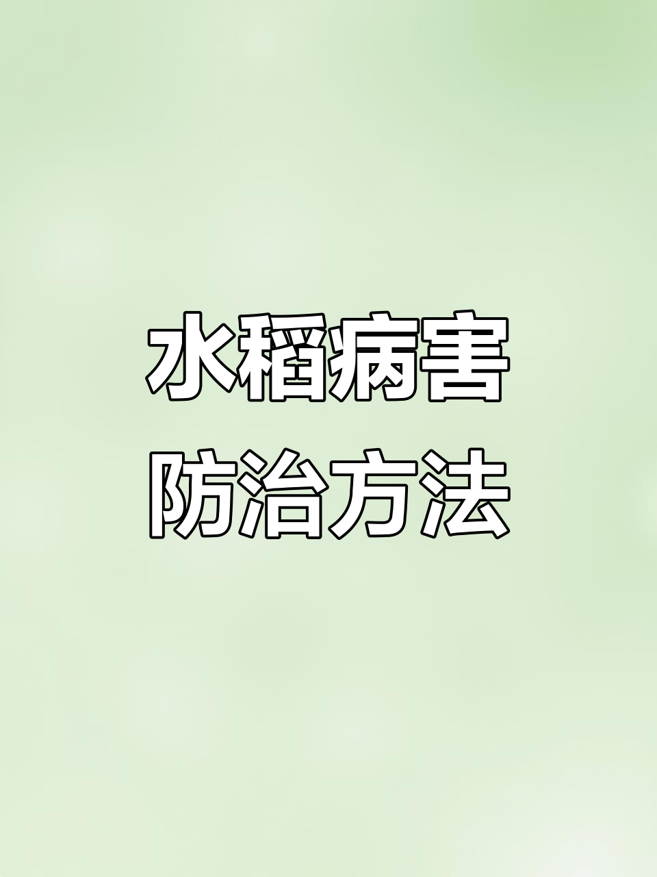 水稻常见病害及防治技巧,轻松应对白叶枯病、纹枯病等