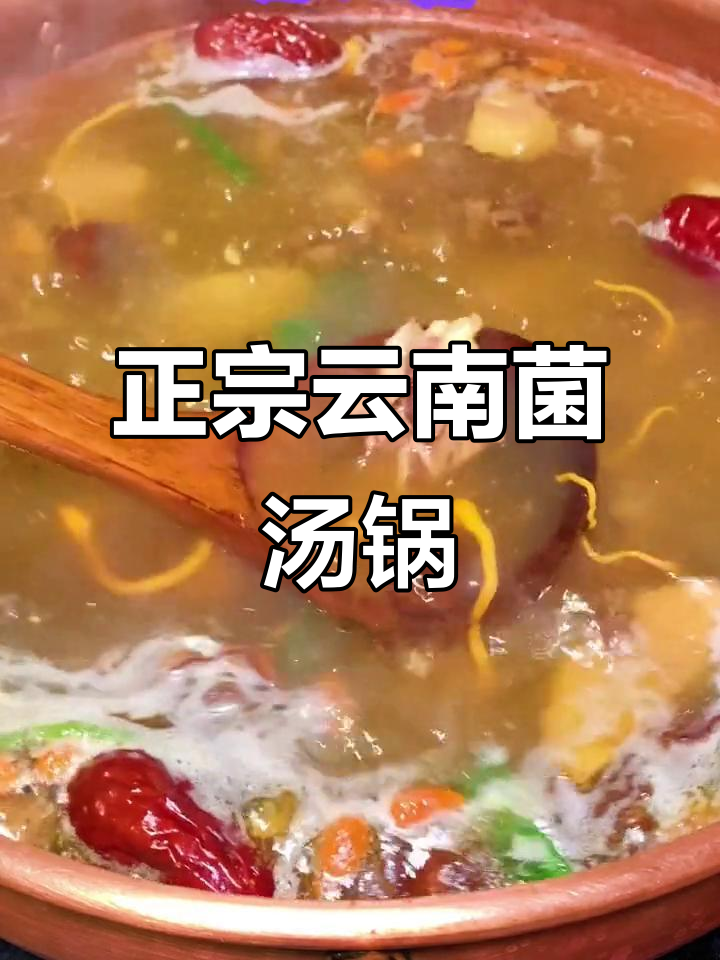 沈阳的云南菌汤锅,六种野生菌带来极致美味体验