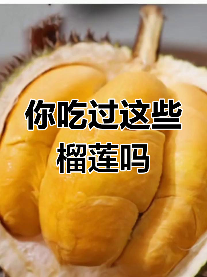顶级榴莲品种推荐:猫山王与黑刺