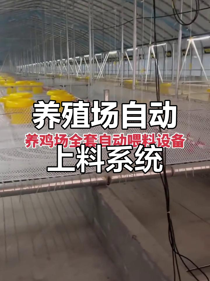 养鸡场自动化喂料饮水设备,现代化生产必备