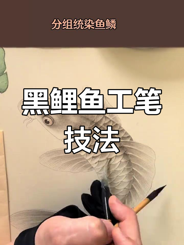 工笔画黑鲤鱼技巧,轻松学会鱼的画法