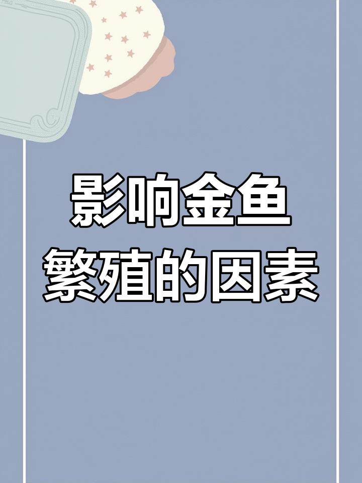 金鱼繁殖的关键因素:水质、水温如何影响生育