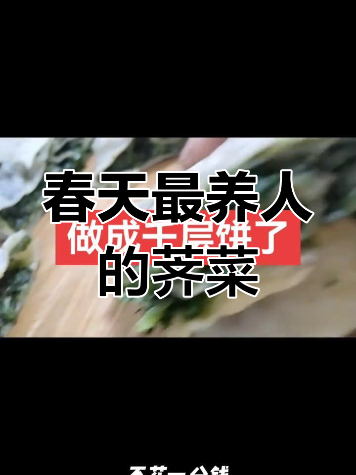春天的野菜,荠菜的神奇养生功效