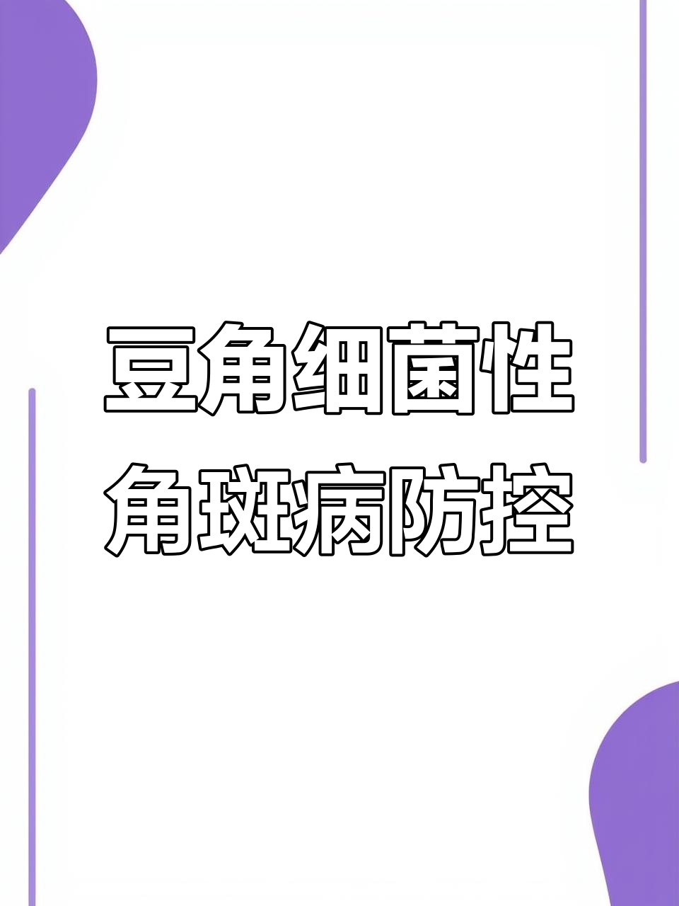 豆角细菌性角斑病发病原因及防治技巧
