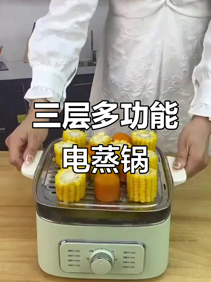 苏泊尔电蒸锅，三层设计，炖煮火锅粥样样俱全
