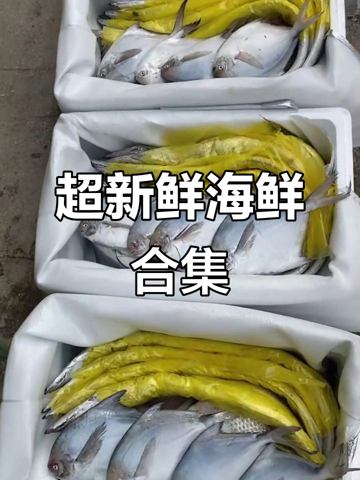 海鲜大集合！刀鱼、鲳鱼、甲鱼一应俱全，鲜度无敌