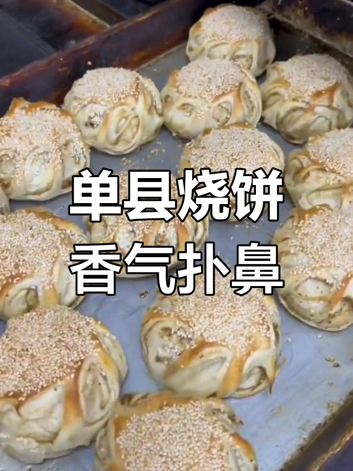 山东单县烧饼,香酥可口,芝麻花生味十足!