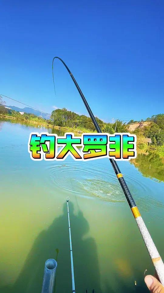 罗非鱼上岸咬人了
