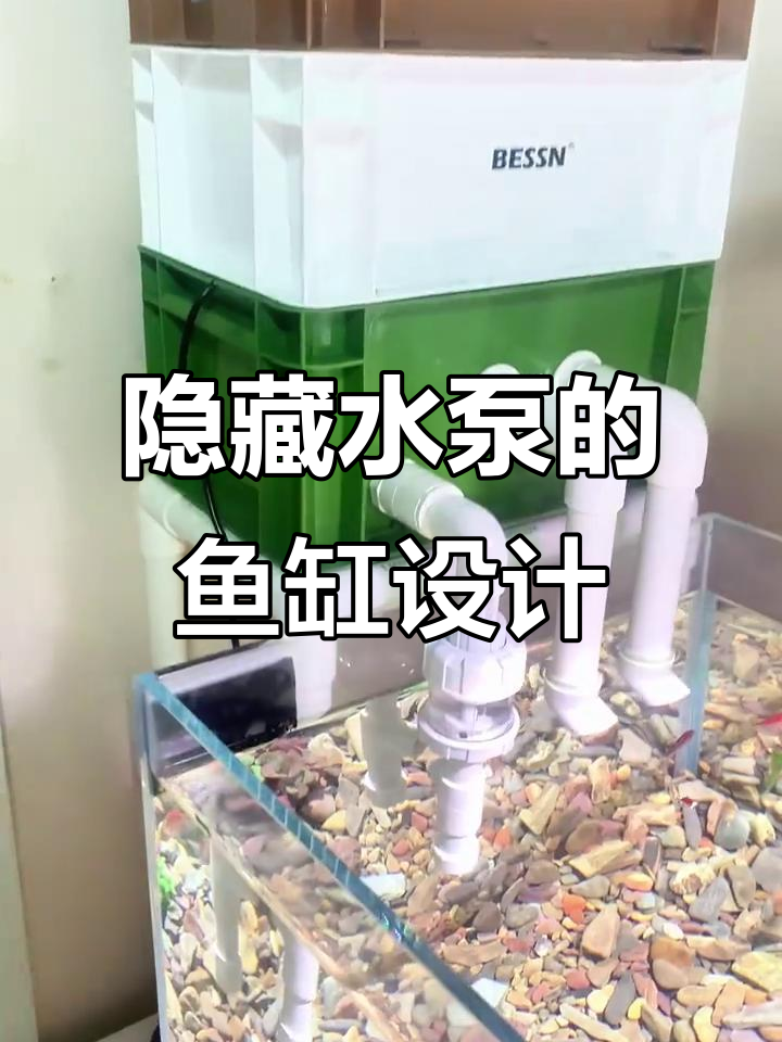 水泵藏箱子里,鱼缸造景更美观