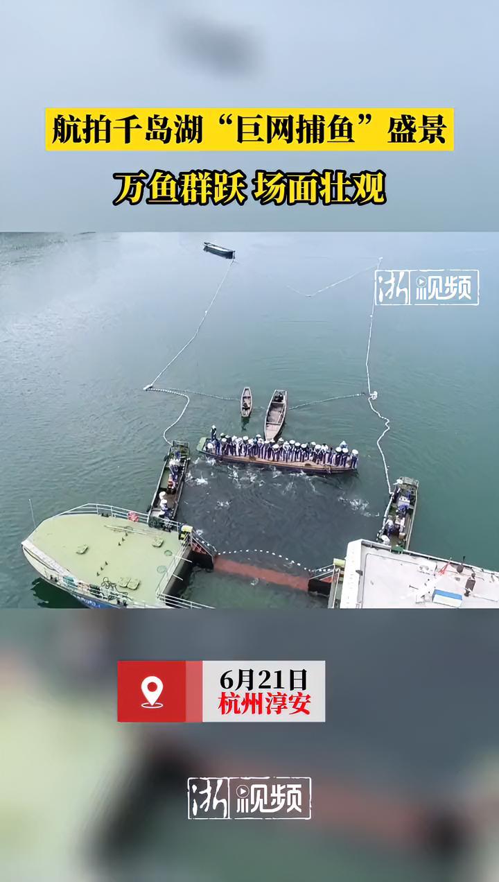 壮观!航拍千岛湖“巨网捕鱼”盛景 万鱼群跃 千岛湖 捕鱼 淳安@抖音短视频