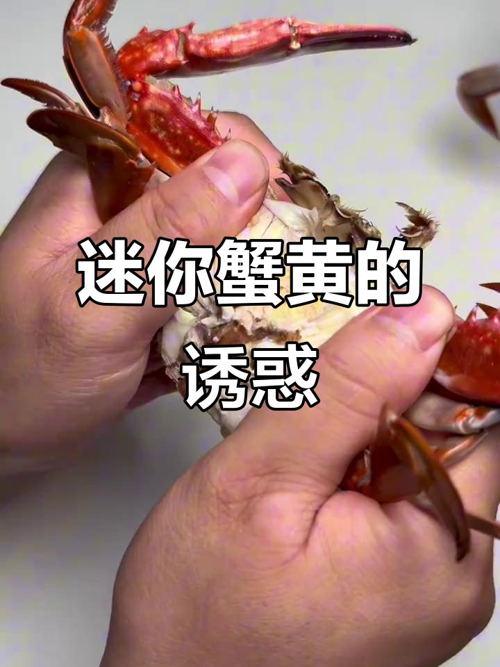 小巧的蟹黄,一口下去鲜美无比,比大螃蟹更让人陶醉!