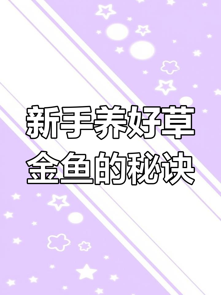 草金鱼养殖全攻略:从挑选到水质管理
