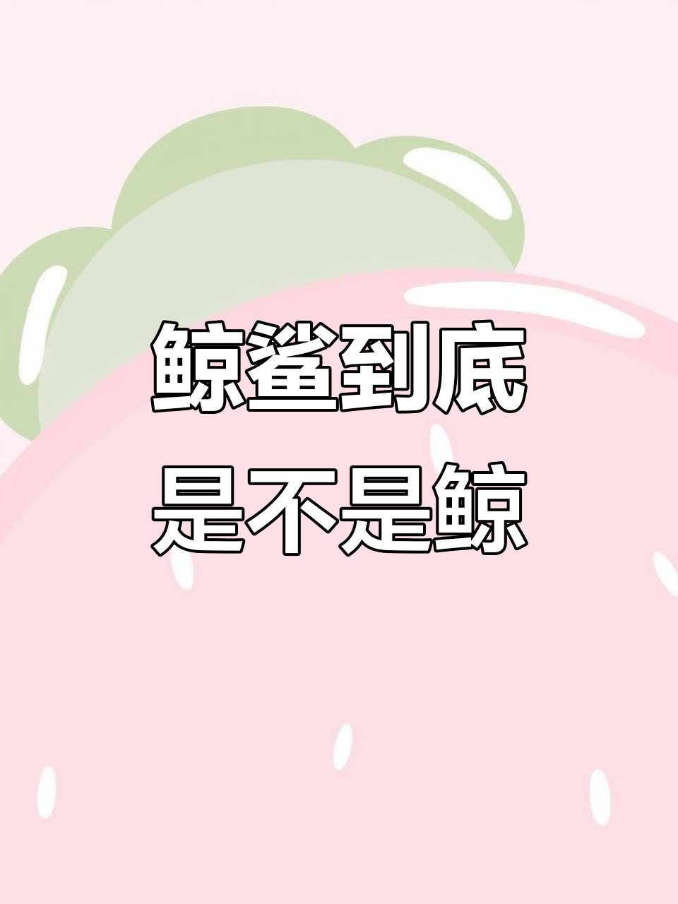 鲸鲨是鲸鱼吗?揭秘海洋最大生物的真相