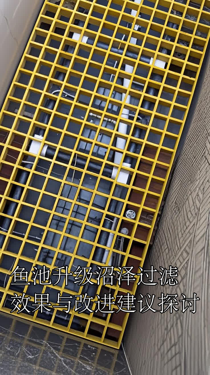 鱼池升级沼泽过滤效果与改进建议探讨