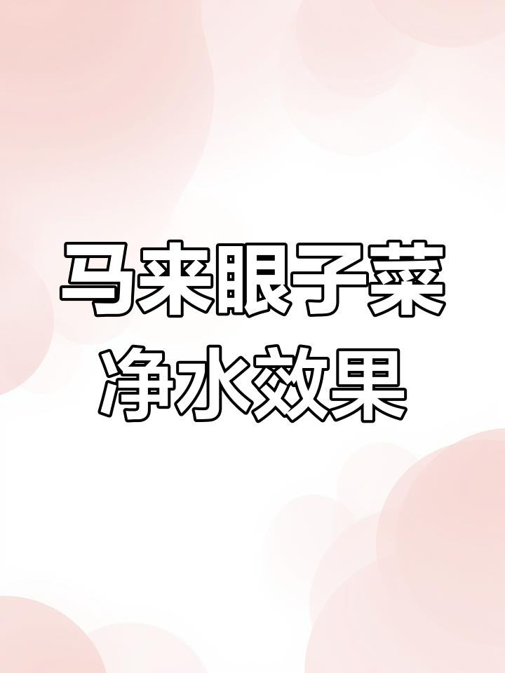 马来盐紫菜:高效吸附氮磷,助力水生态修复