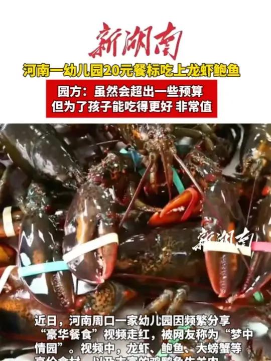 河南一幼儿园20元餐标吃上龙虾鲍鱼，园方：虽然会超出一些预算，但为了孩子能吃得更好，非常值