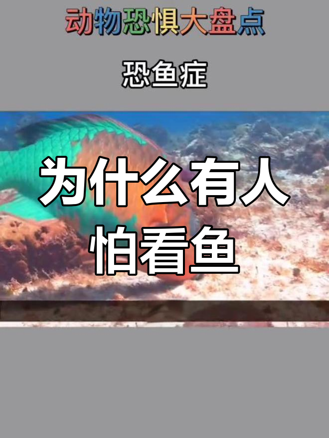 恐鱼症:为何有些人对水族馆望而却步