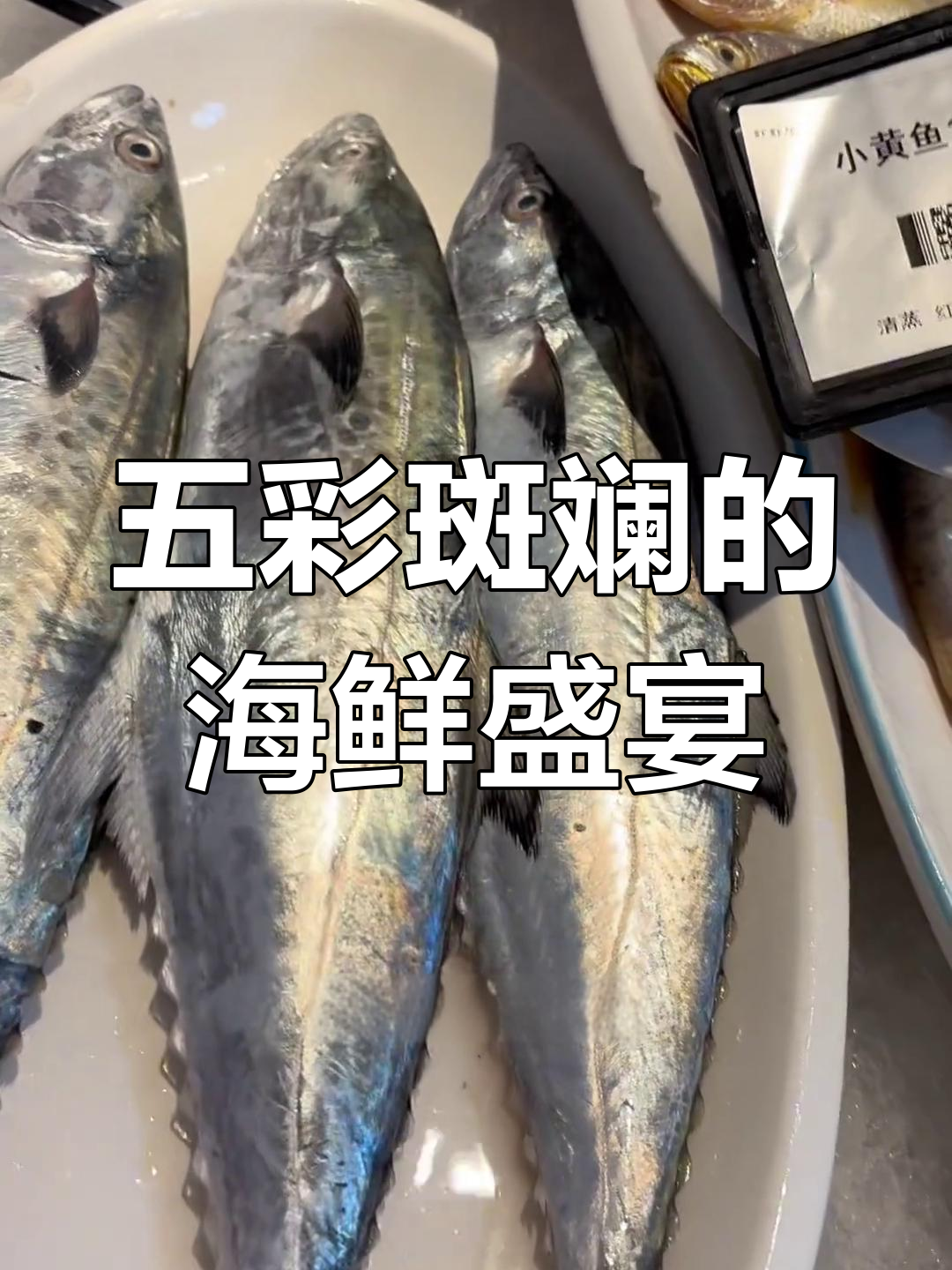 各种海鲜大揭秘:红黄蓝白,魔鬼鱼到碧绿鲳鱼的全方位介绍