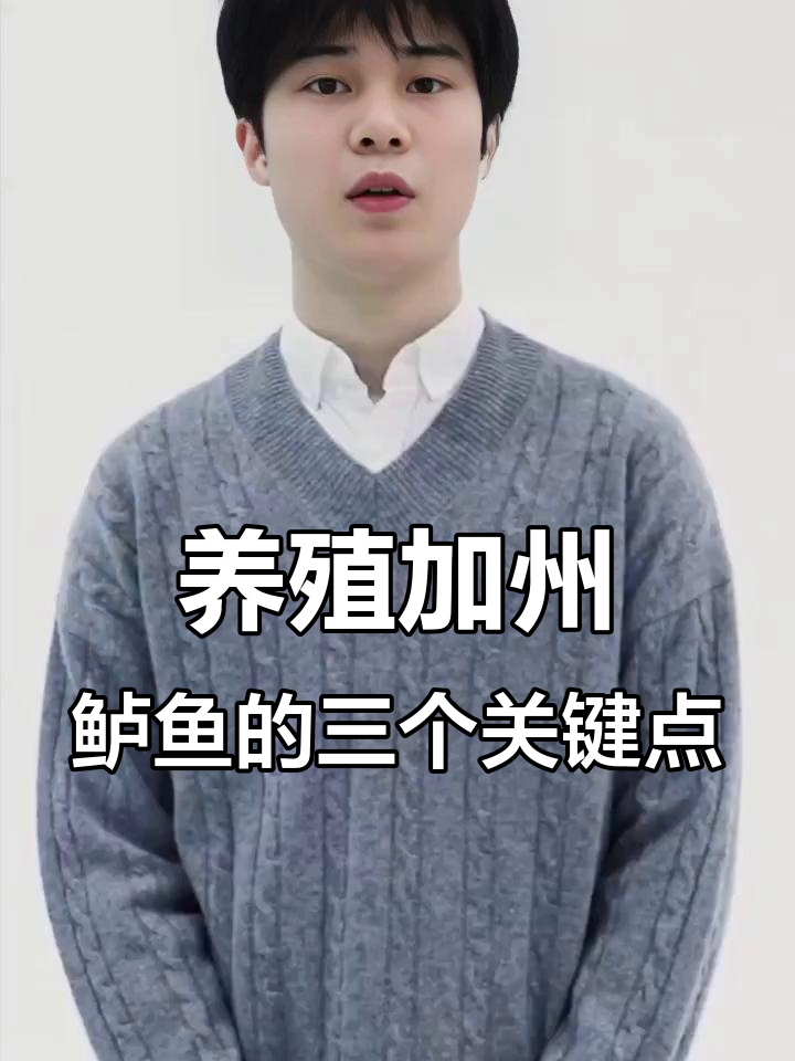 养鲈鱼必知三大技巧,轻松提升产值