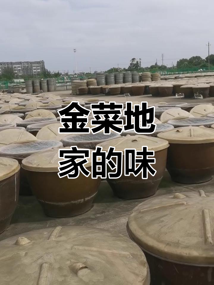 家乡的味道,金菜地酱料带你重温记忆中的味道