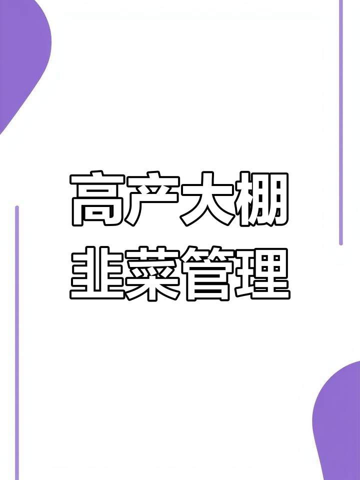 大棚韭菜种植技巧,提升产量与质量