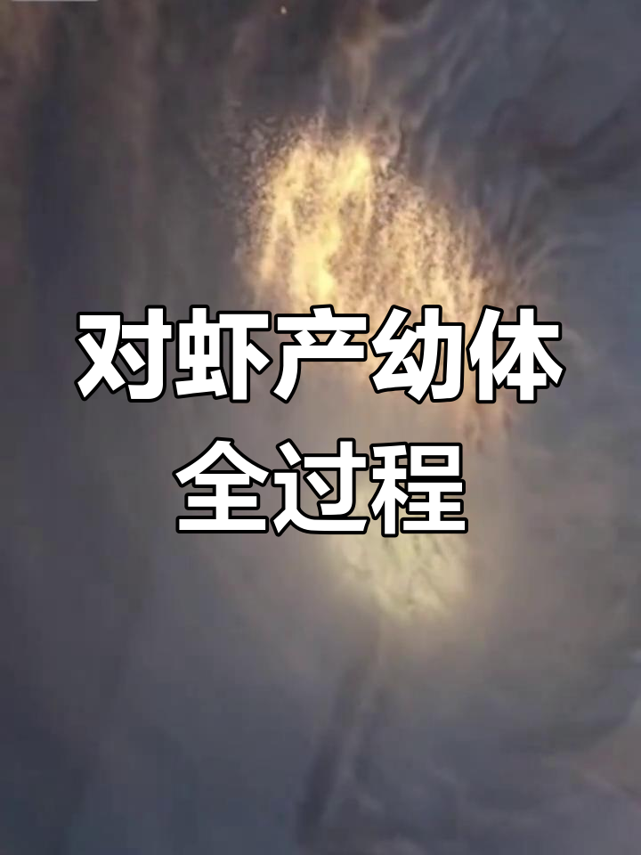 母虾如何快速产幼体?揭秘对虾繁殖过程