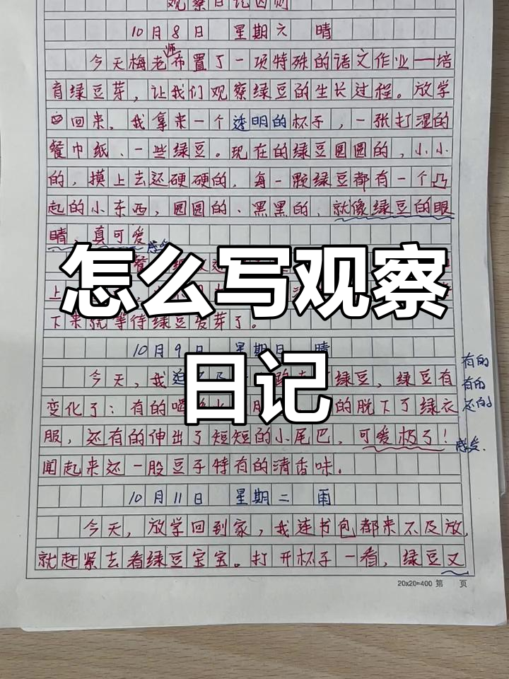 如何写好观察日记?从选材到格式全解析