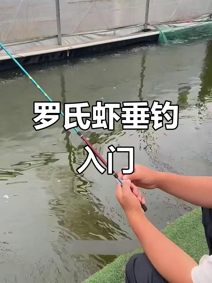 钓虾技巧大揭秘：如何调整浮漂和钩子，轻松捕捉罗氏虾