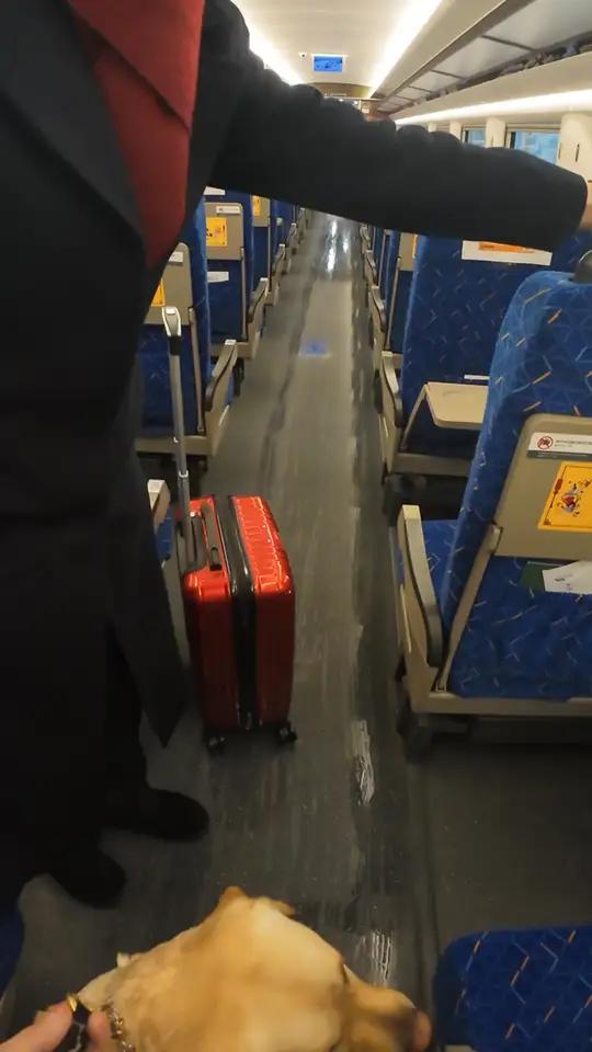 这是春运我和锦宝坐高铁回家的视频,成都东站的工作人员真的很好