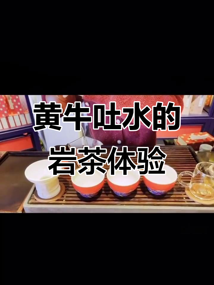 茶香四溢,黄牛吐水惊艳登场!正宇肉桂的魅力让人无法抗拒