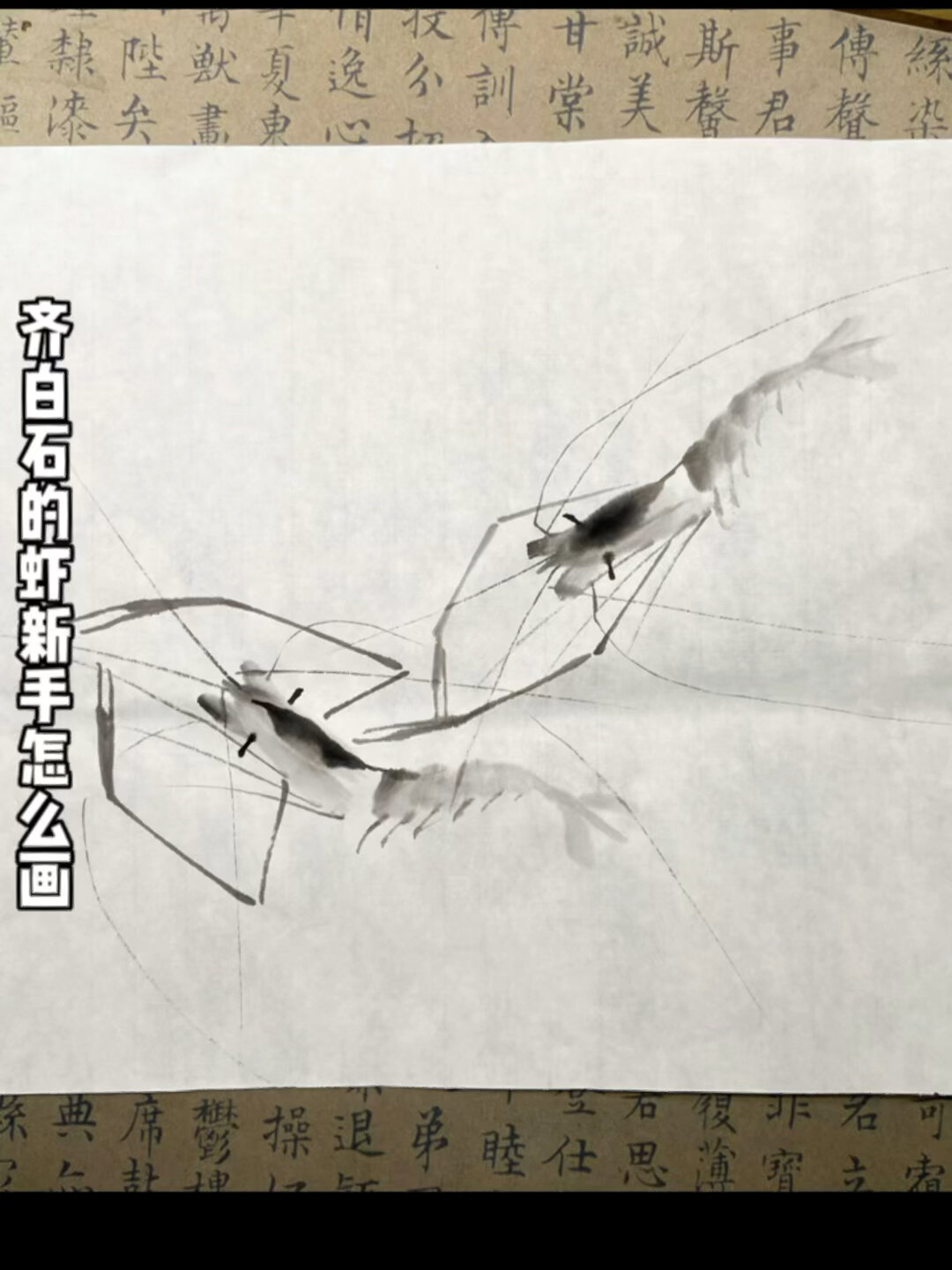 新手怎么画齐白石的虾